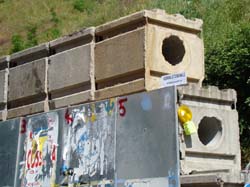 DSC01906