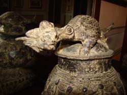 DSC01964