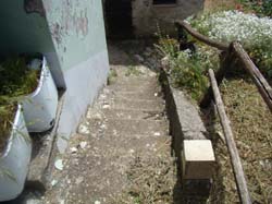 DSC02021