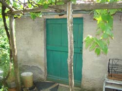 DSC02034
