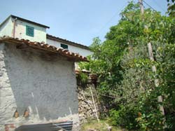 DSC02041