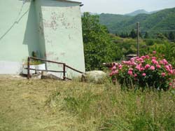 DSC02047