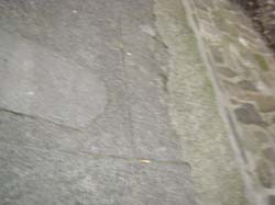 DSC02089