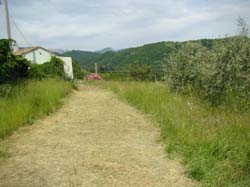 DSC02096
