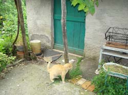 DSC02102