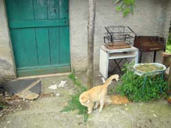 DSC02103