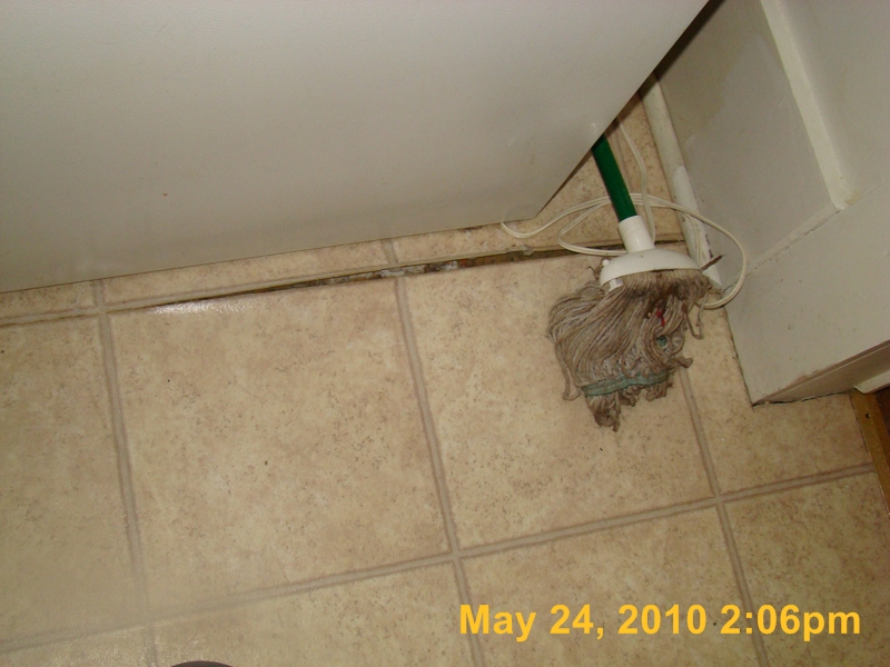 DSC03356
