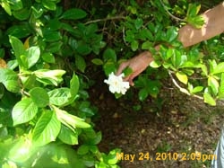 DSC03368