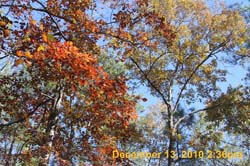IMG_3158