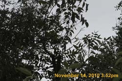 IMG_1935