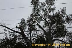 IMG_1940