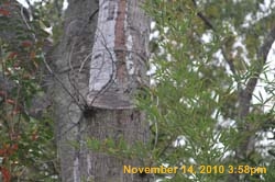 IMG_1942