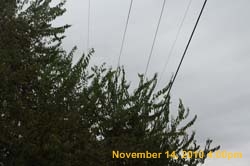 IMG_1945