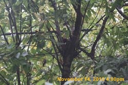 IMG_1946