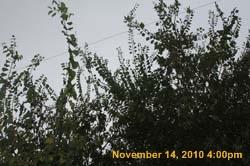 IMG_1947