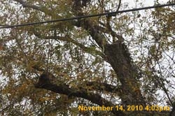 IMG_1950