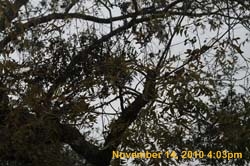 IMG_1952