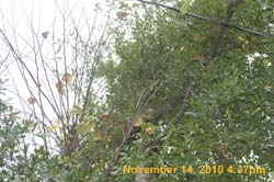 IMG_1966