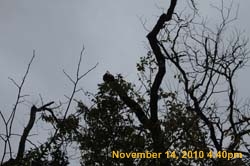 IMG_1973