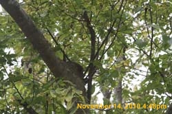 IMG_1982