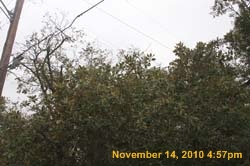 IMG_1995