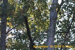 IMG_2212