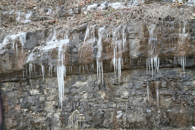 IMG_1872
