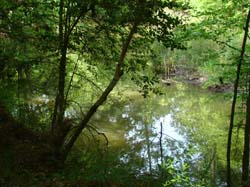 DSC03000