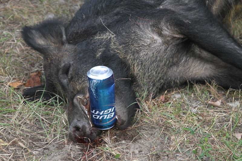 IMG_0945