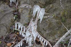 IMG_4448