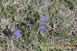 IMG_2415