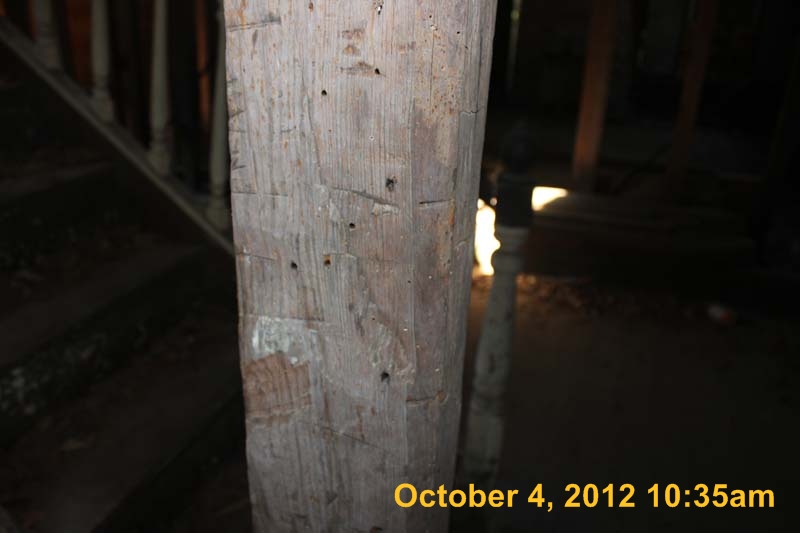 IMG_3569