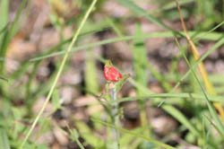 IMG_0321