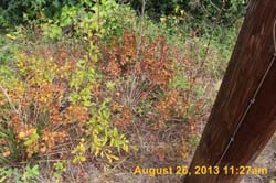 IMG_7699