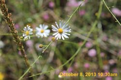 IMG_7861