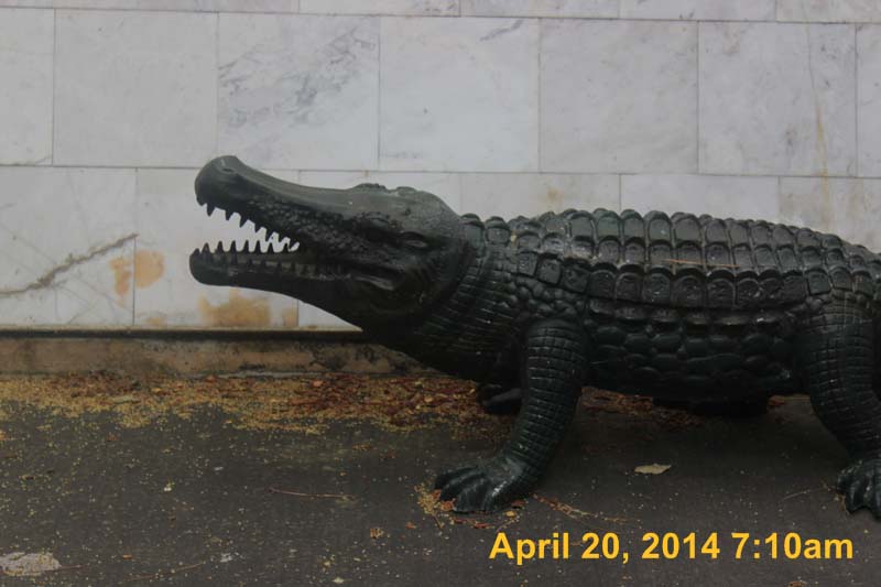 IMG_9029