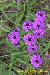 IMG_8901