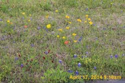 IMG_8924