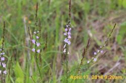 IMG_8928