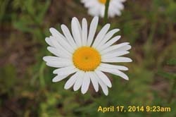 IMG_8935