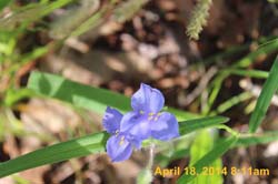 IMG_8960