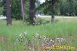 IMG_9492