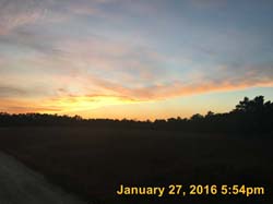 IMG_1926