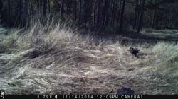 IMG_1843