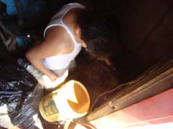 DSC00979