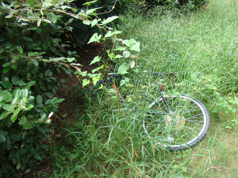 DSC01027