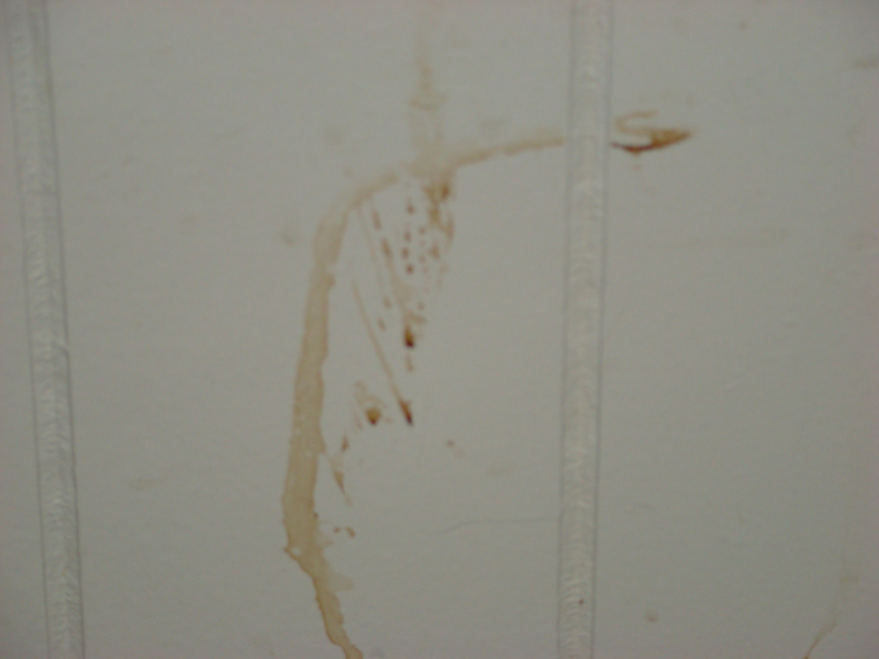 DSC01067