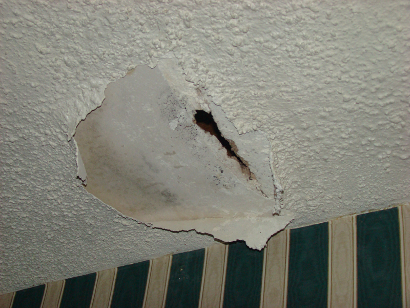 DSC01069