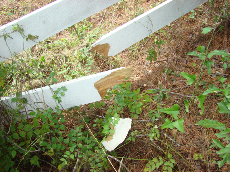 DSC01151