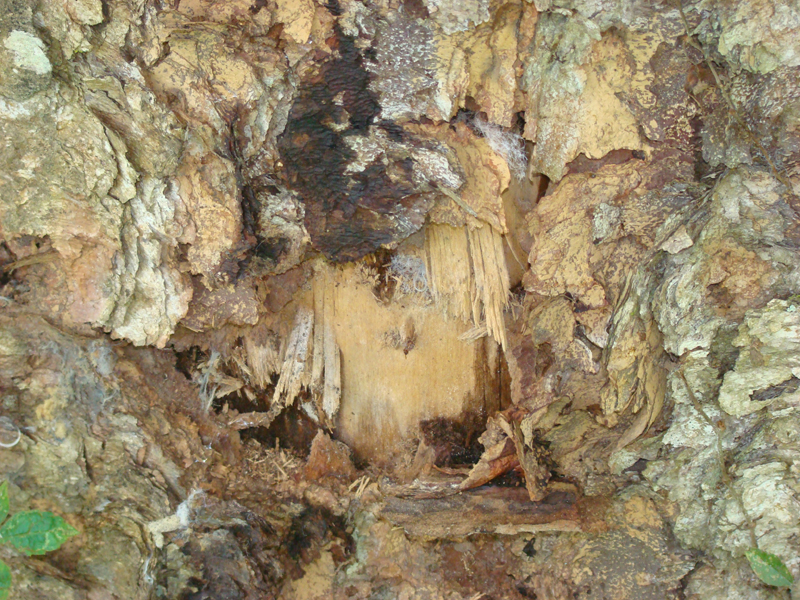 DSC01156
